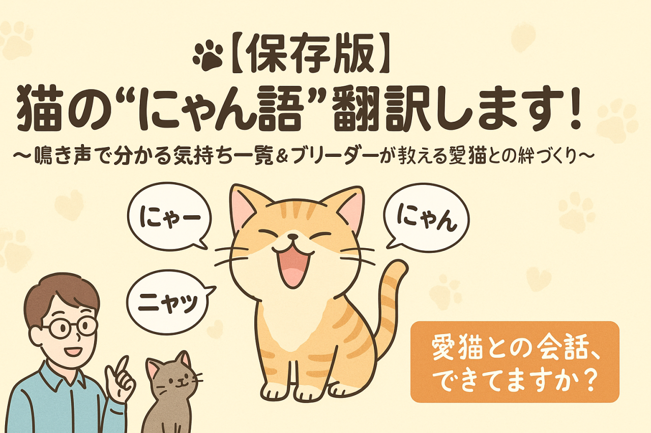 🐾【保存版】猫の“にゃん語”翻訳します! ~鳴き声で分かる気持ち一覧&ブリーダーが教える愛猫との絆づくり~ | ブログ | 埼玉でブリーダー ...